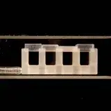 File:Bose-Einstein Condensate (5941063056).jpg