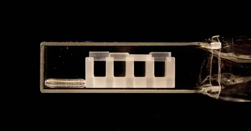 File:Bose-Einstein Condensate (5941063056).jpg