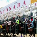 Venezuela será la sede de la Serie Hípica del Caribe en 2024