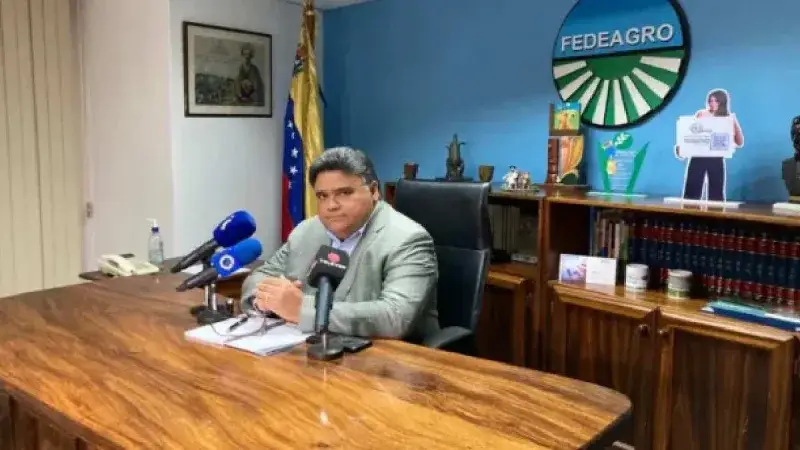 Fedeagro pide reglas claras para proteger maíz y arroz