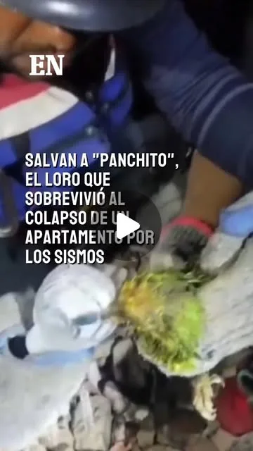 Publicación de Instagram de El Nacional