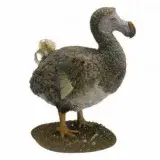 
			La humanidad ya ha extinguido 1.430 especies de aves		