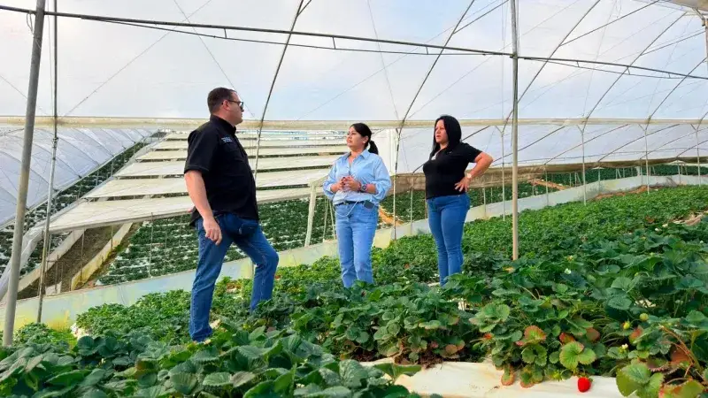 Brenda Ribeiro se reunió con productores en El Jarillo