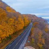 Aerial view of a vibrant autumn landscape along a winding road in Reads Landing, Minnesota by the Mississippi River.