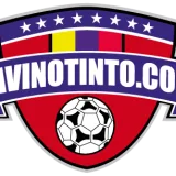 lavinotinto.com