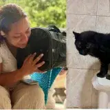 648 mascotas han sido rescatadas tras los sismos en Venezuela