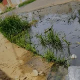 Vecinos cerrarán Los Bucares por derrame de aguas negras