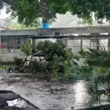 Lluvias y vientos causan anegaciones en Valencia