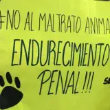 Hombre le sacó los ojos a la mascota de una vecina