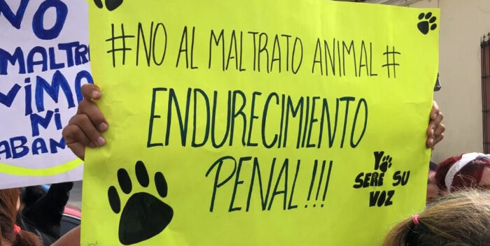 Hombre le sacó los ojos a la mascota de una vecina