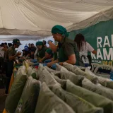 Cuarta Feria Alimentaria y Hallacazo del Sol será este sábado en Cristo de Aranza