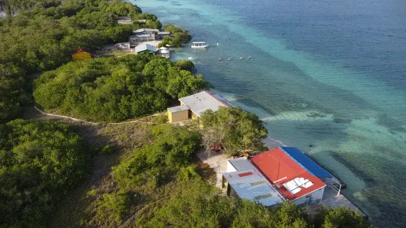 Stunning aerial view showcasing the seascape and lush greenery of Ocumare de la Costa, Aragua.