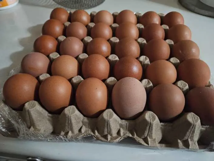 Aumento del cartón de huevos golpea los bolsillos en Caracas