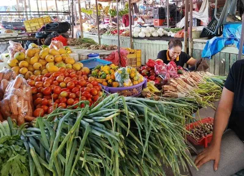 Alimentar a una familia costó más de 755 dólares en agosto