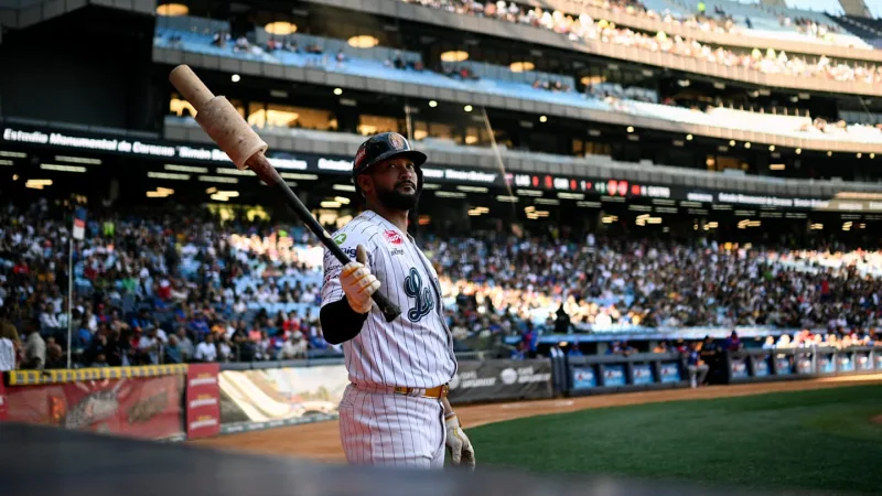 LVBP en vivo: Dónde ver Navegantes del Magallanes vs. Leones del Caracas en TV, streaming y lineups