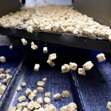 Can vegan protein support muscle building as effectively as animal protein?