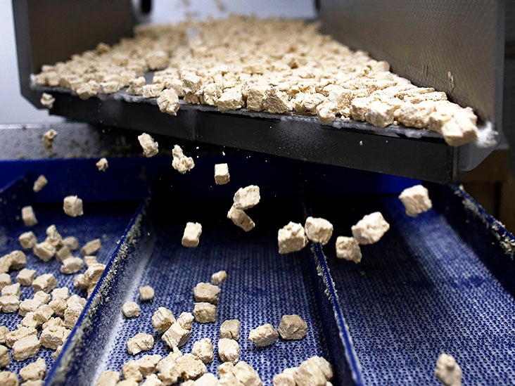 Can vegan protein support muscle building as effectively as animal protein?
