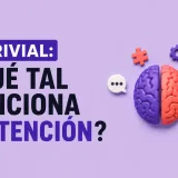Trivial interactivo pone a prueba la atención con 10 preguntas