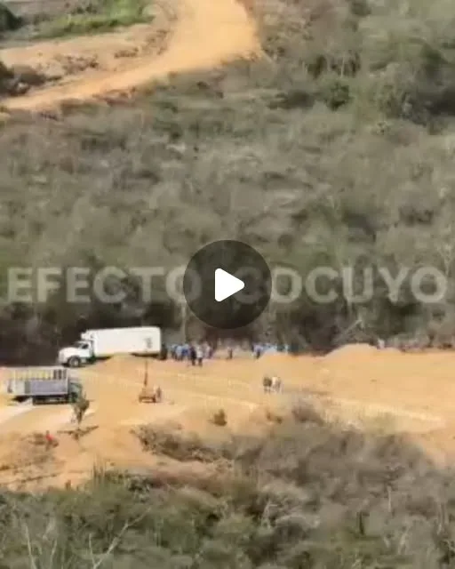 Publicación de Instagram de Efecto Cocuyo