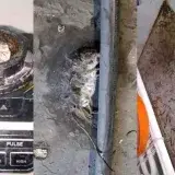 Clausuran Tres Puntos Café en Maracaibo por plagas