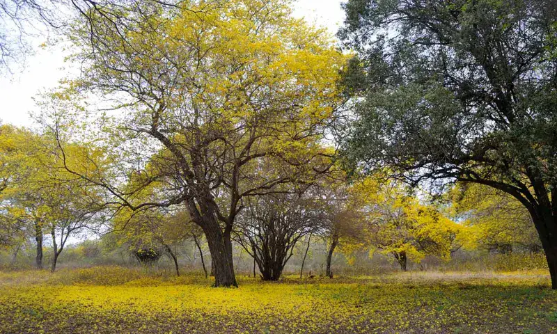 La Pauta Cultural: Realizan primera rodada hasta el Jardín Botánico