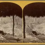 File:A siesta, Chipigana, from Robert N. Dennis collection of stereoscopic views.jpg
