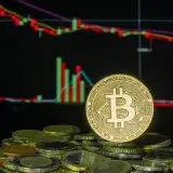 Moneda Bitcoin entre monedas apiladas sobre un fondo de un gráfico de mercado financiero fluctuante.