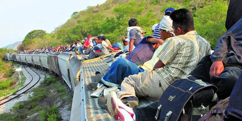
			Muere venezolano al caer de “La Bestia” en su ruta hacia EEUU		