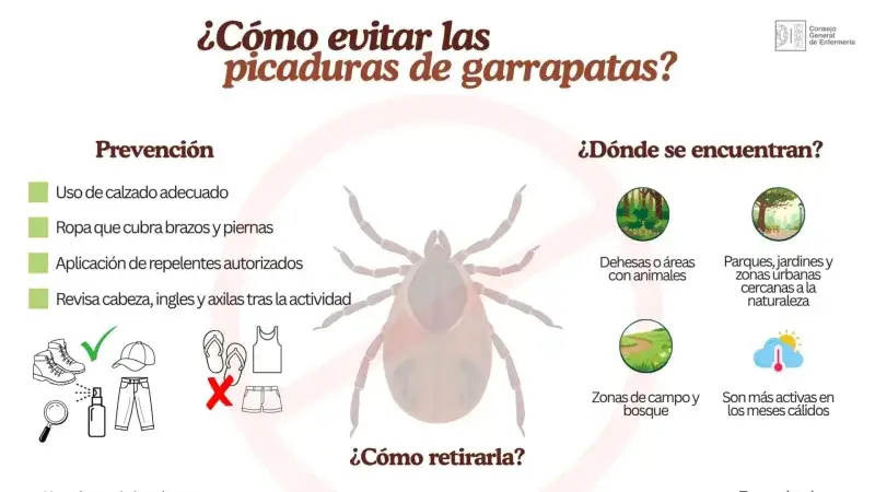 Enfermeras advierten sobre el aumento de picaduras de garrapatas