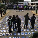 Polilara incautó 2.237 panelas de marihuana en zona rural de Lara