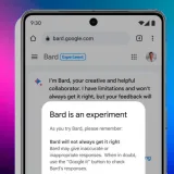 
				“Es peor que inútil”: Google pidió a sus empleados probaran Bard y algunos lo destrozaron, según Bloomberg			