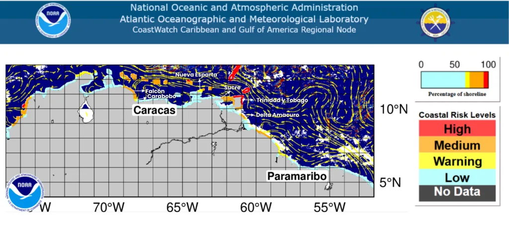 Sargazo amenaza pesca y biodiversidad en costas de Sucre y Falcón