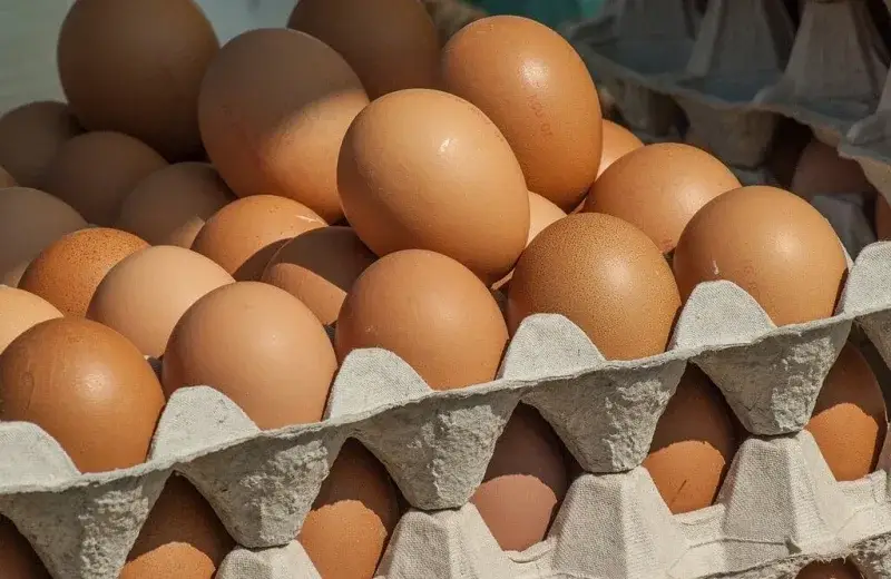 Aumento del cartón de huevos golpea los bolsillos en Caracas