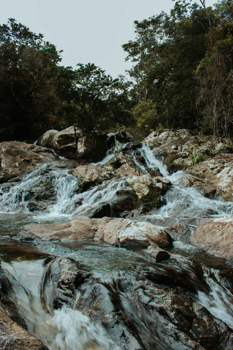 Scenic waterfall cascading over rocks in a lush forest in Victoria, Caldas, Colombia.