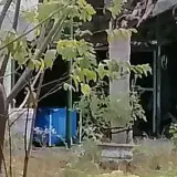 Detienen a mujer por presuntamente ahogar a sus dos niñas en Cabimas
