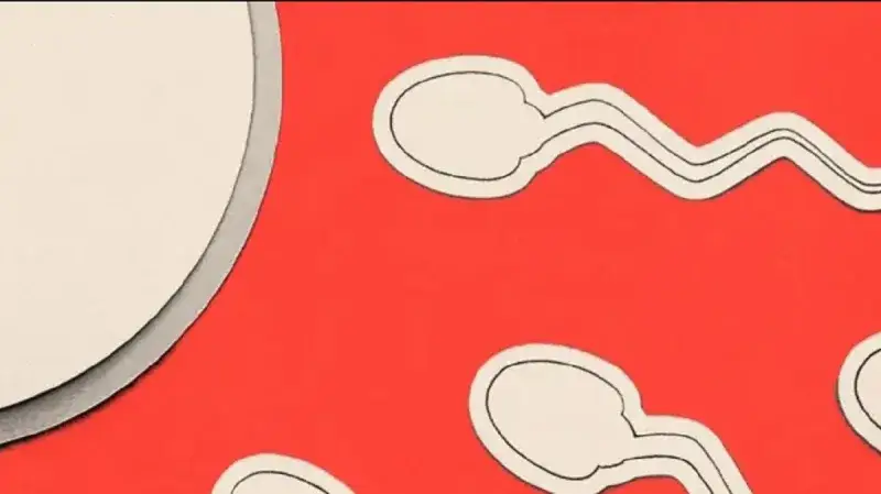 La infertilidad masculina sigue relegada en el diagnóstico