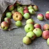 File:Apple-3040132 640.jpg