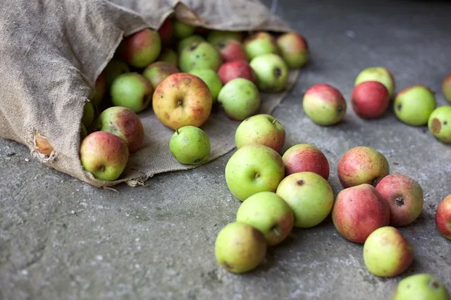 File:Apple-3040132 640.jpg