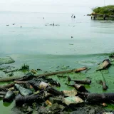 Especialistas neerlandeses participan en recuperación del Lago