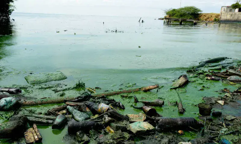 Especialistas neerlandeses participan en recuperación del Lago