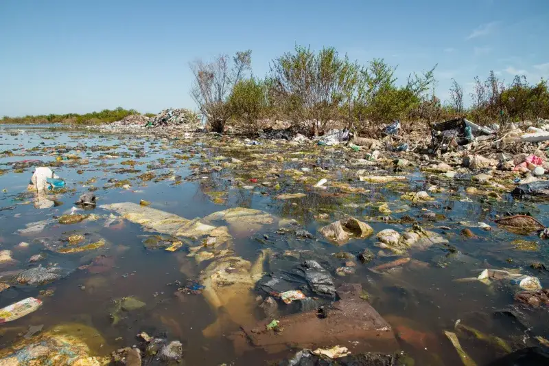 File:Contaminación del agua en laguna Setúbal - 2024 - Provincia de Santa Fe - Argentina - 27.jpg