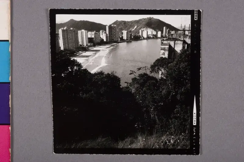 File:Werner Haberkorn - Litoral, Acervo do Museu Paulista da USP.jpg
