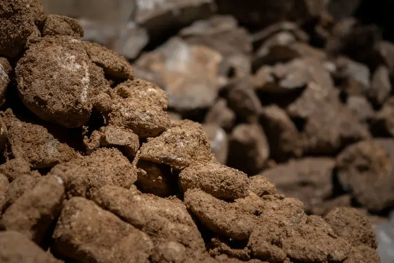 Detailed view of earthy stones and soil in Mérida, Venezuela. Perfect for texture and nature themes.