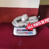 FANB incautó 3,6 kilos de cocaína en Barinas