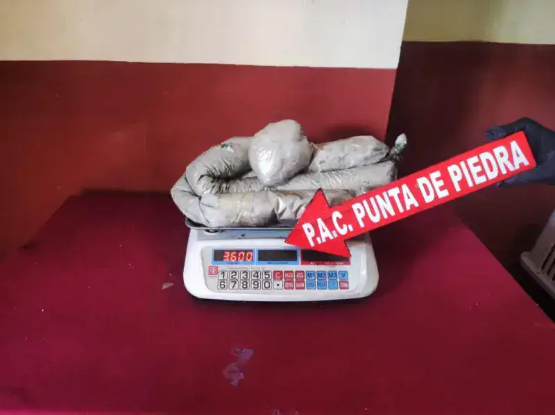 FANB incautó 3,6 kilos de cocaína en Barinas
