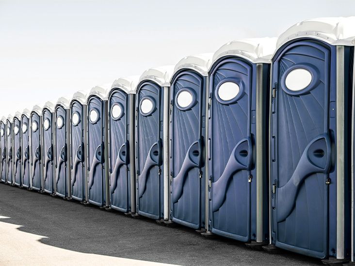 Particular strain of probiotic bacteria may improve chronic constipation