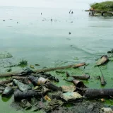 Reverol: "Hemos extraído 19.000 toneladas de desechos" del Lago