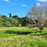 File:Campos de Granja Suiza en Ruiz de Montoya.jpg