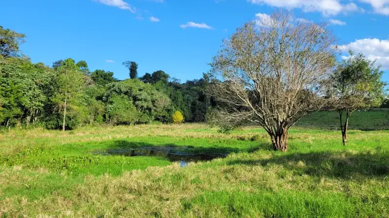 File:Campos de Granja Suiza en Ruiz de Montoya.jpg