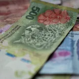 Detailed view of Argentine currency featuring wildlife illustrations.